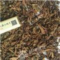 毛慈菇（冰球子）