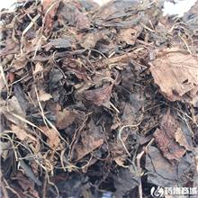 鹿含草 统货 
