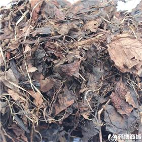 鹿含草 统货 
