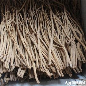党参 各种规格 大货供应