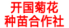 开国菊花种苗合作社