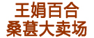 王娟百合桑葚大卖场