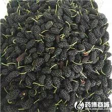 鲜桑椹 