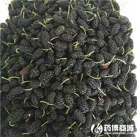 鲜桑椹 