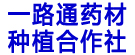 一路通药材种植合作社