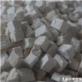茯苓 小丁
