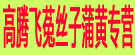 高腾飞菟丝子蒲黄专营
