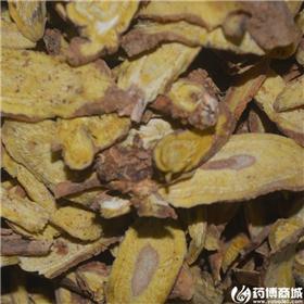 黄芩 统 