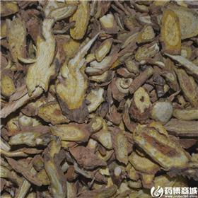 黄芩 小统