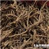黄芩 山西 统个