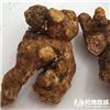 苍术 选个