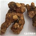 苍术 选个