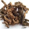 苍术 统 个