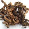 苍术 统 个