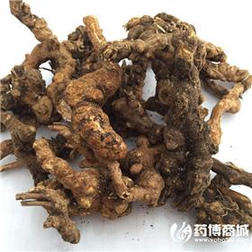 苍术 统 个