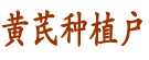 黄芪种植户