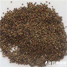 甘草 种子