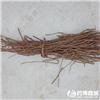 甘草 毛草