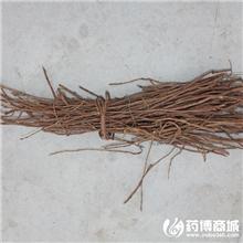 甘草 毛草