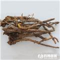 黄芩 原货