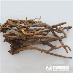 黄芩 原货