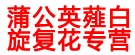 蒲公英薤白旋复花专营
