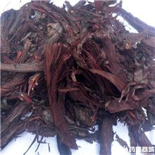紫草（新疆）