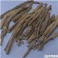 白鲜皮 个子