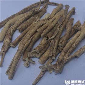白鲜皮 个子
