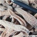 天麻 小麻子