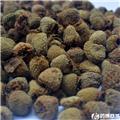 覆盆子 家种 选 