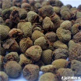 覆盆子 家种 选 