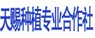 天赐种植专业合作社