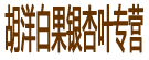 胡洋白果银杏叶专营