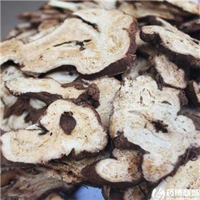 白术 两年生 统片