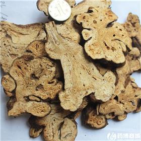 白术 无硫 手选片