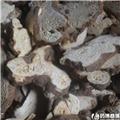 白术 无硫 片子