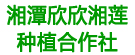 湘潭欣欣湘莲种植合作社