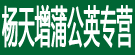 杨天增蒲公英专营