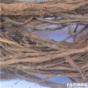 厚朴根