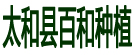 太和县百和种植