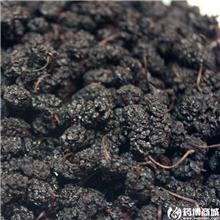 桑椹 四川 食用 