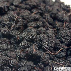 桑椹 四川 食用 