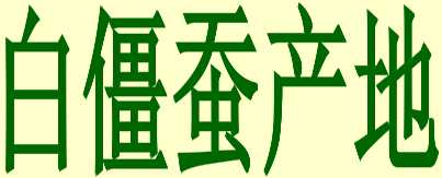 广西白僵蚕产地货源