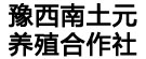 豫西南土元养殖合作社