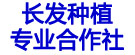 长发种植专业合作社