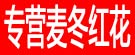 专营麦冬红花