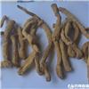 玉竹 个 选