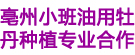 亳州小班油用牡丹种植专业合作社