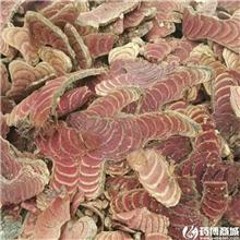 鸡血藤